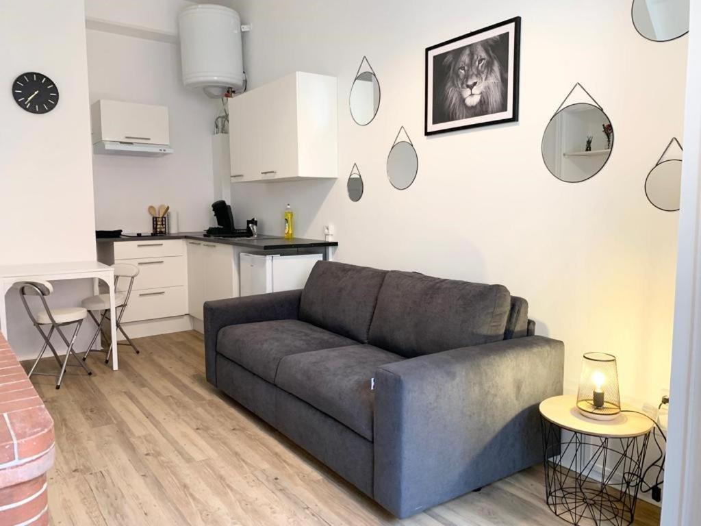 Apartament Le Nid Troyens Troyes Zewnętrze zdjęcie